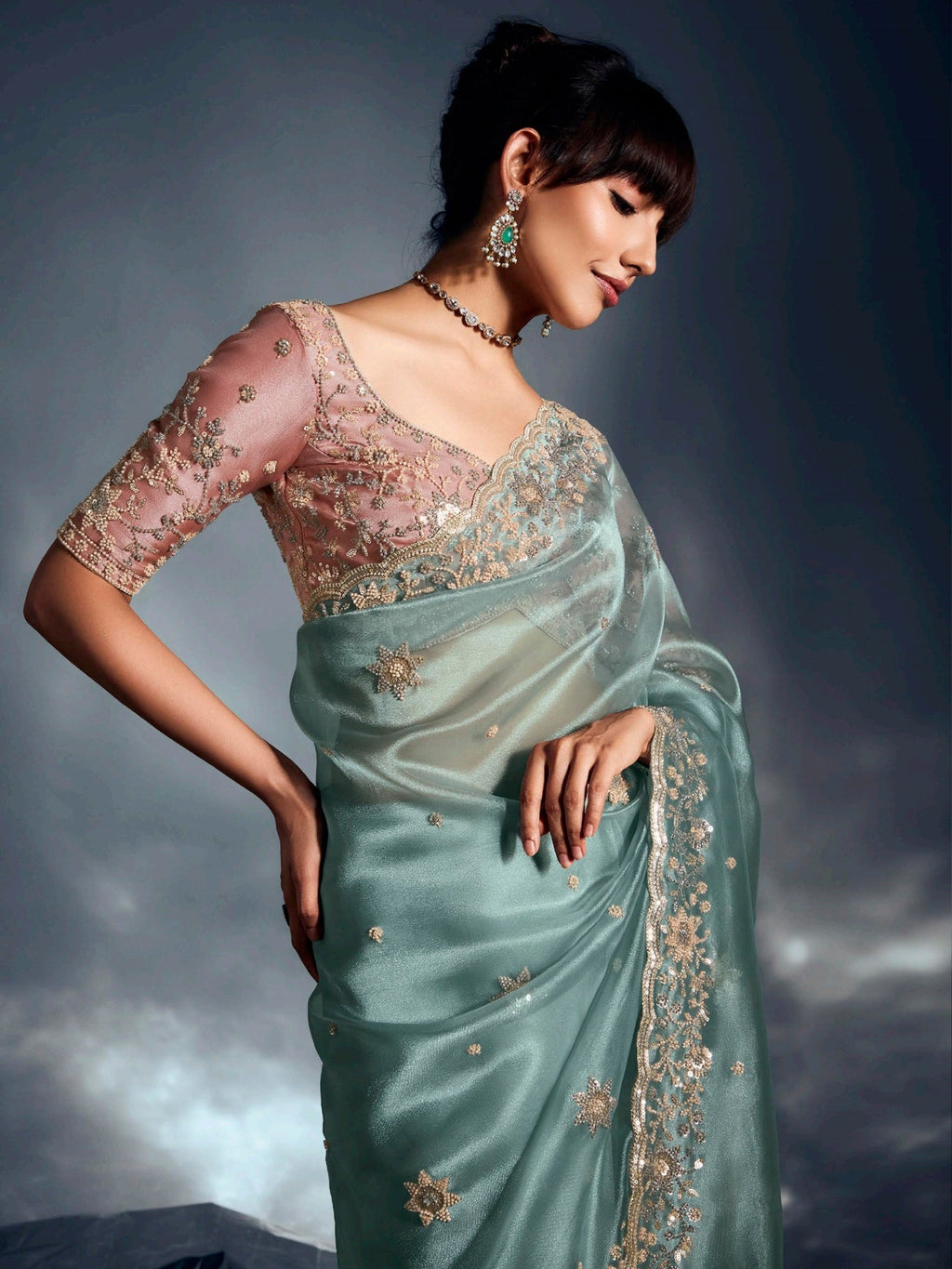 Artistic Sky Blue Organza Border Work Party Wear Saree With Blouse