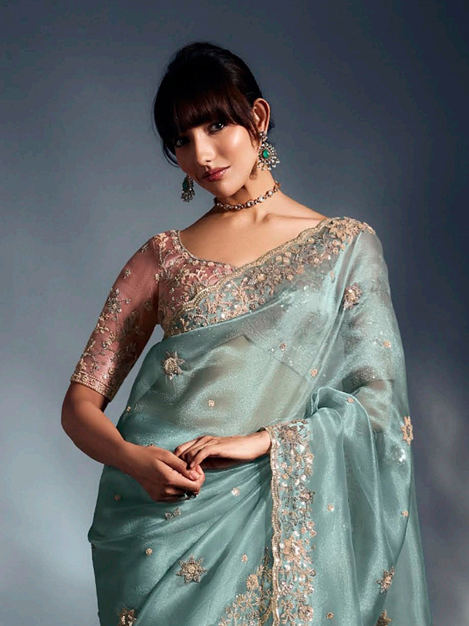 Artistic Sky Blue Organza Border Work Party Wear Saree With Blouse